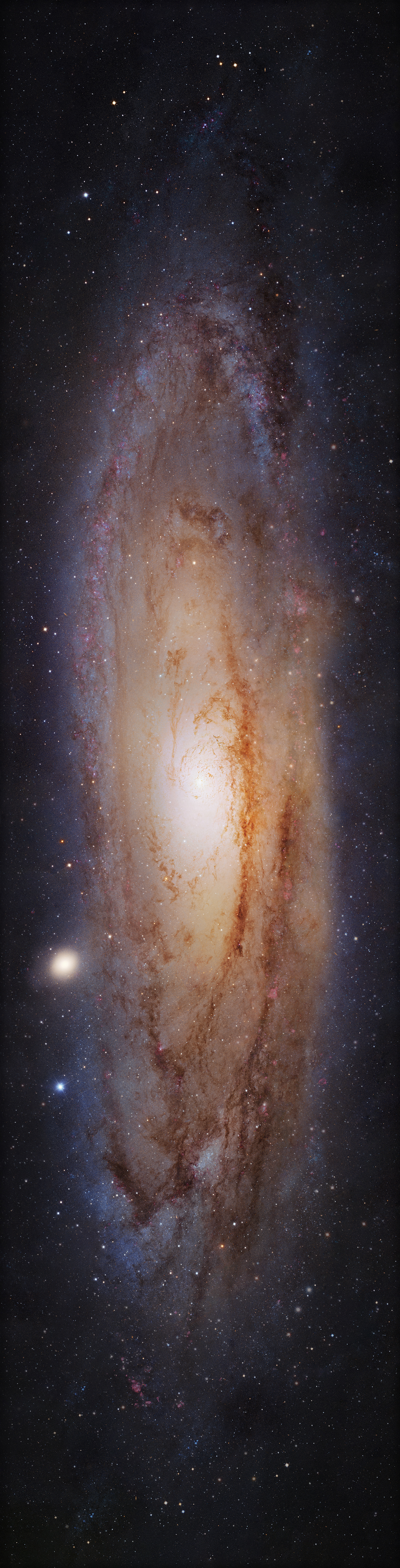 The Celestial Zoo - Astro Graphics! - Pablo Carlos Budassi